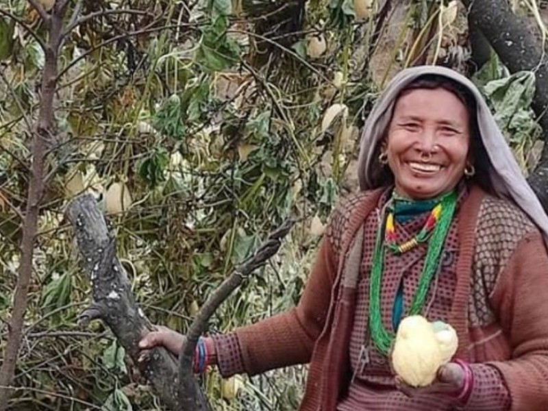 पहिलो पटक फल्यो हुम्लामा स्कुस तरकारी
